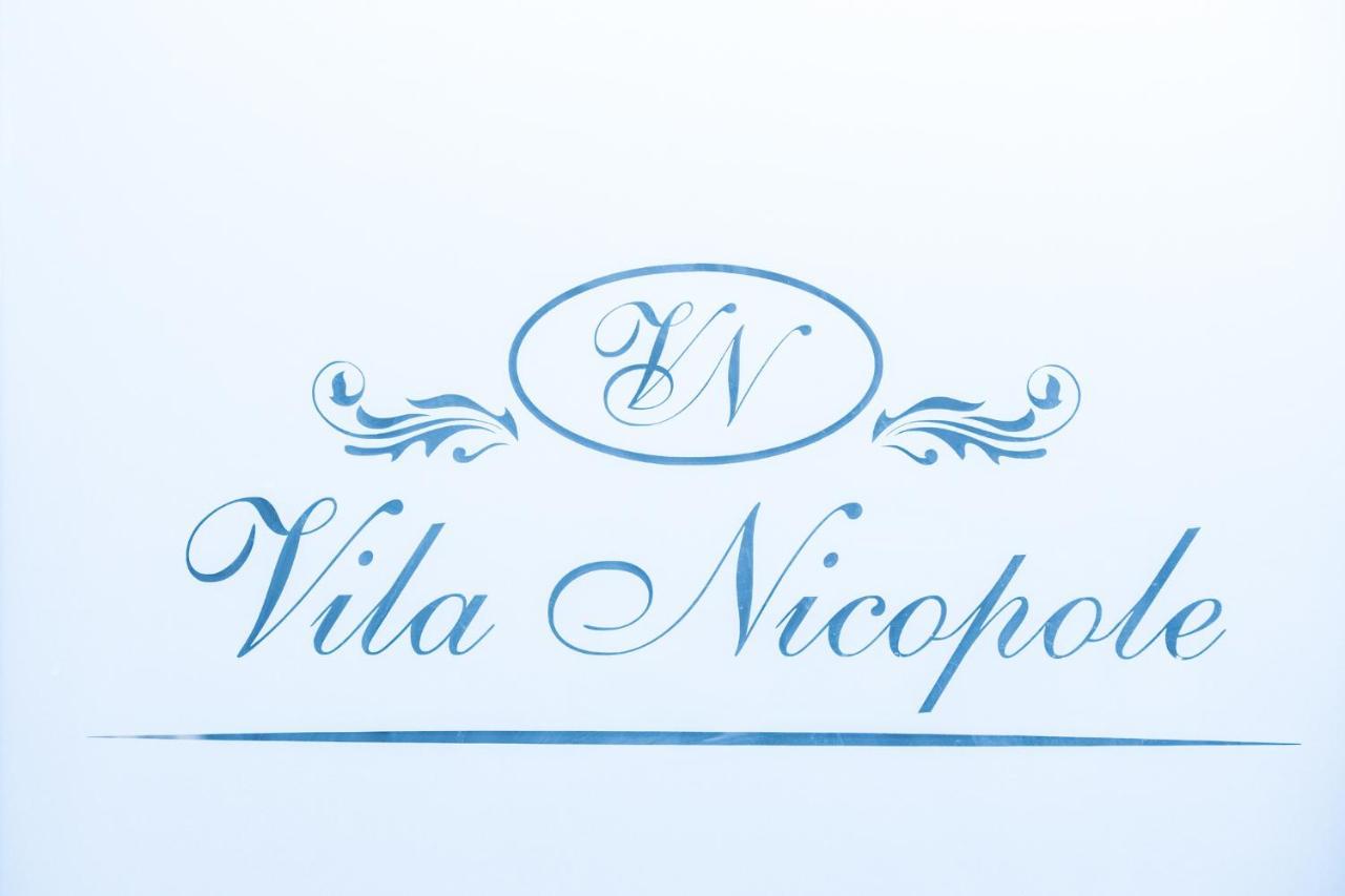 בראשוב Vila Nicopole Art & Wine מראה חיצוני תמונה