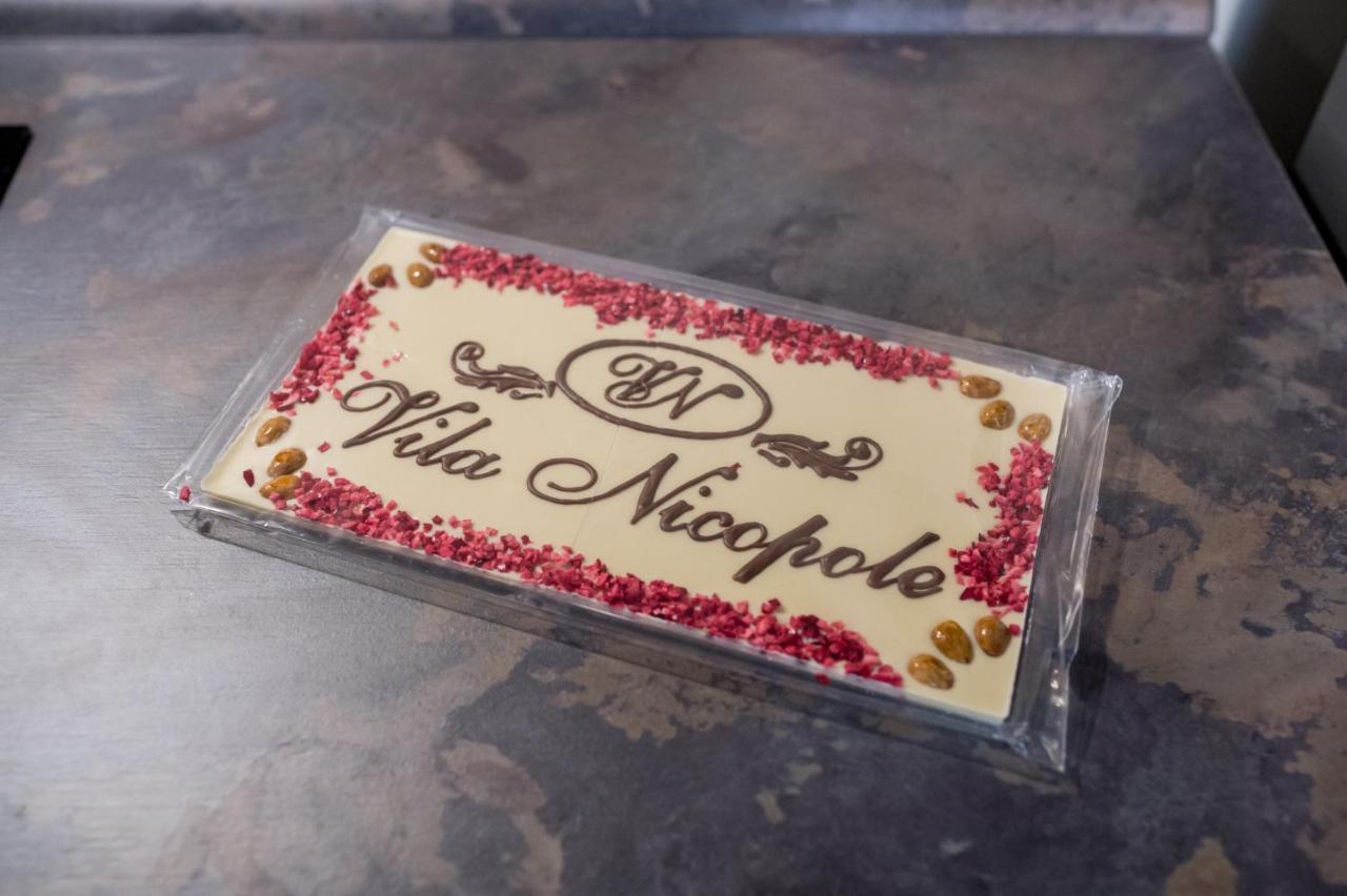 בראשוב Vila Nicopole Art & Wine מראה חיצוני תמונה